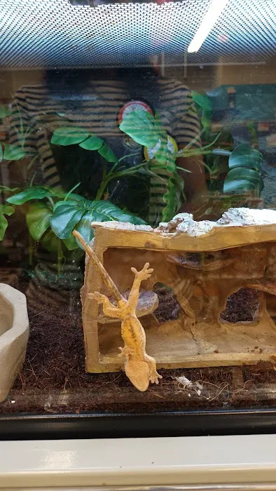 Petco Picture 8