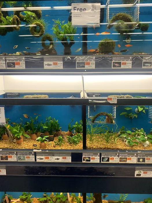 Petco Picture 9