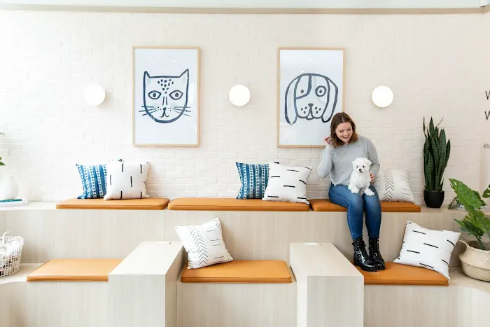 Bond Vet - Kips Bay Picture 3