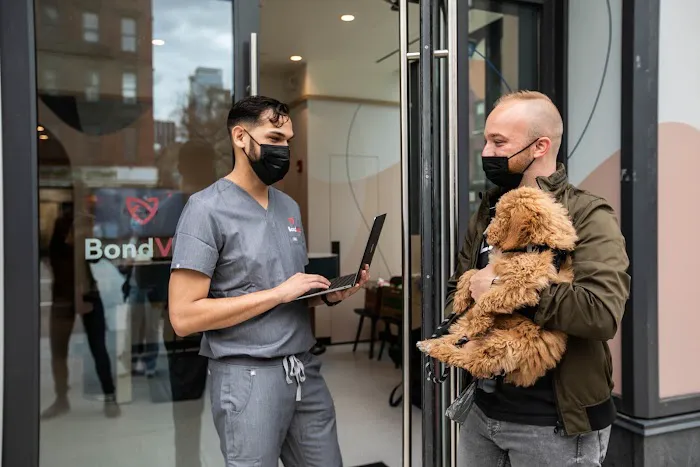 Bond Vet - Kips Bay Picture 1