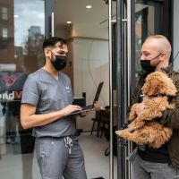 Bond Vet - Kips Bay ico