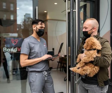 Bond Vet - Kips Bay
