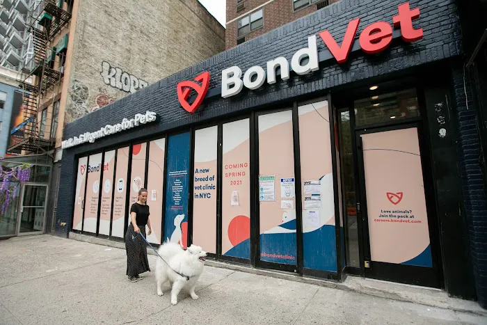 Bond Vet - Kips Bay Picture 4