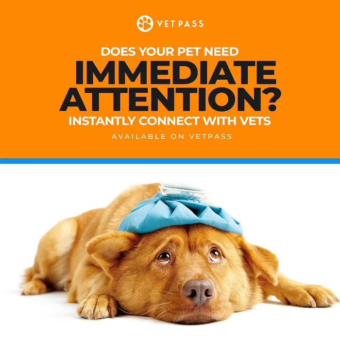 VETPASS Picture 3