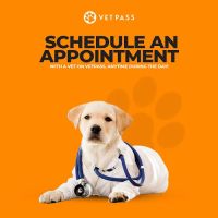 VETPASS ico