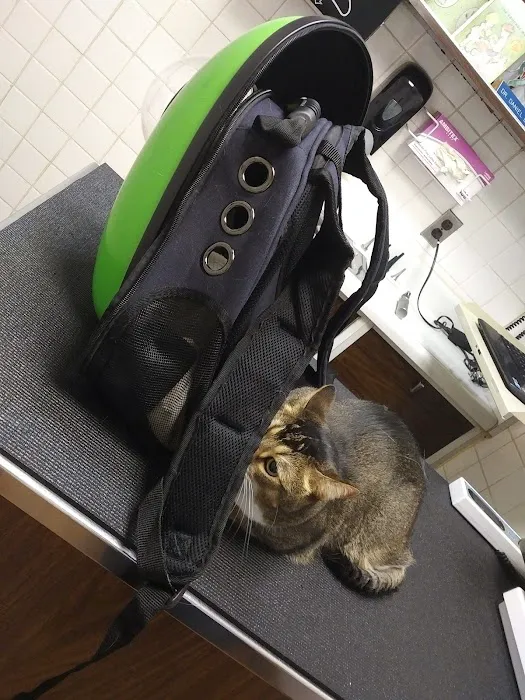 Murray Hill Pet Hospital Picture 8