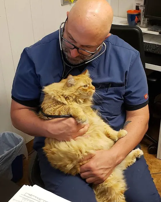 Murray Hill Pet Hospital Picture 6