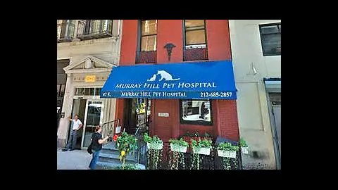 Murray Hill Pet Hospital Picture 4