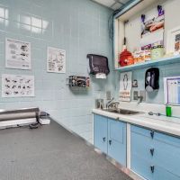 Murray Hill Pet Hospital ico