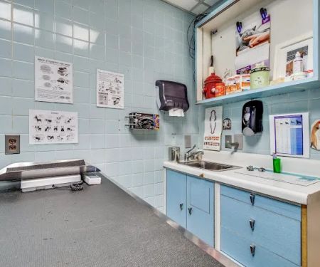 Murray Hill Pet Hospital