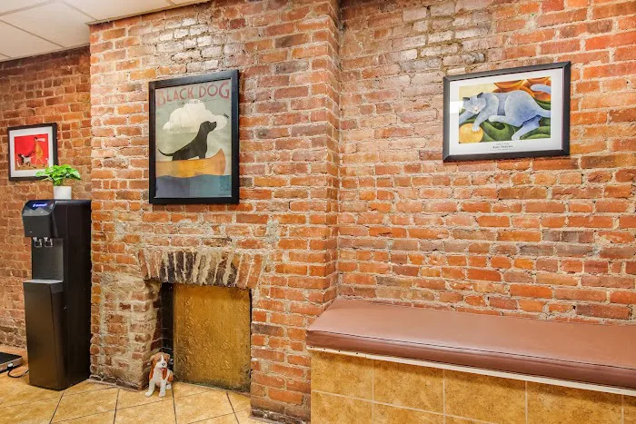 Murray Hill Pet Hospital Picture 10