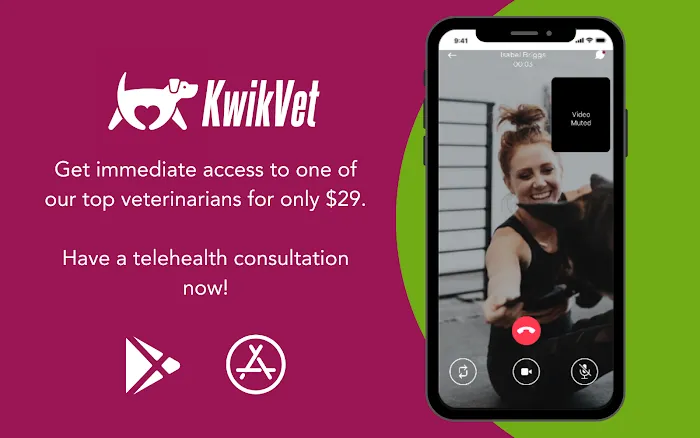 KwikVet - 24 hour veterinarians Picture 2