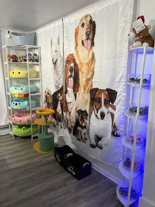 Avila Pet Store Picture 7