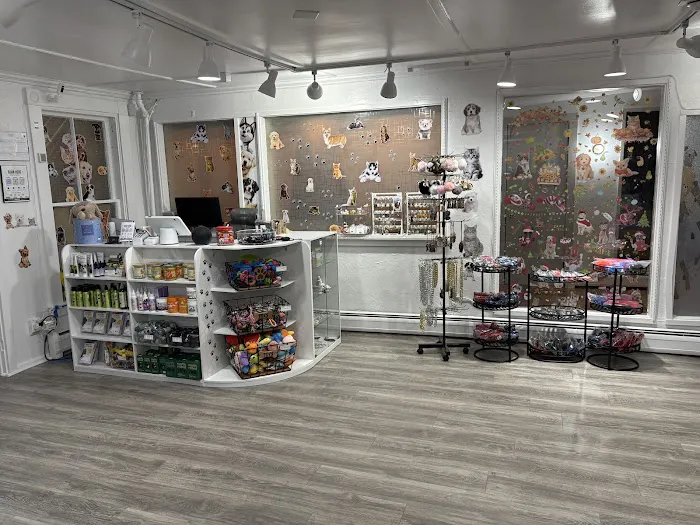 Avila Pet Store Picture 9