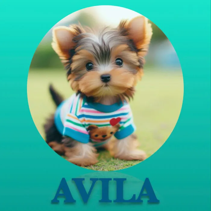 Avila Pet Store Picture 10