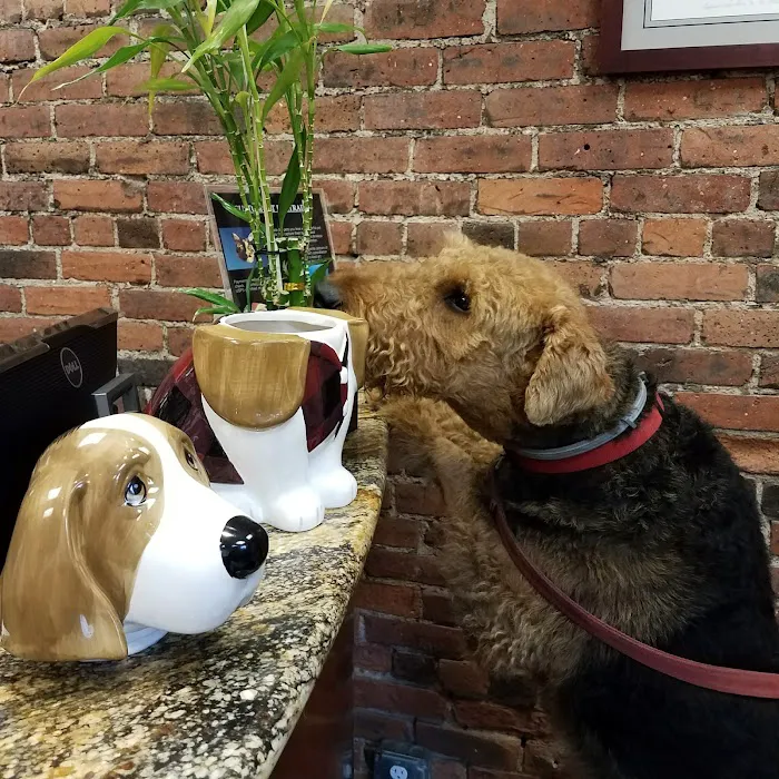 Abingdon Square Veterinary Clinic Picture 5