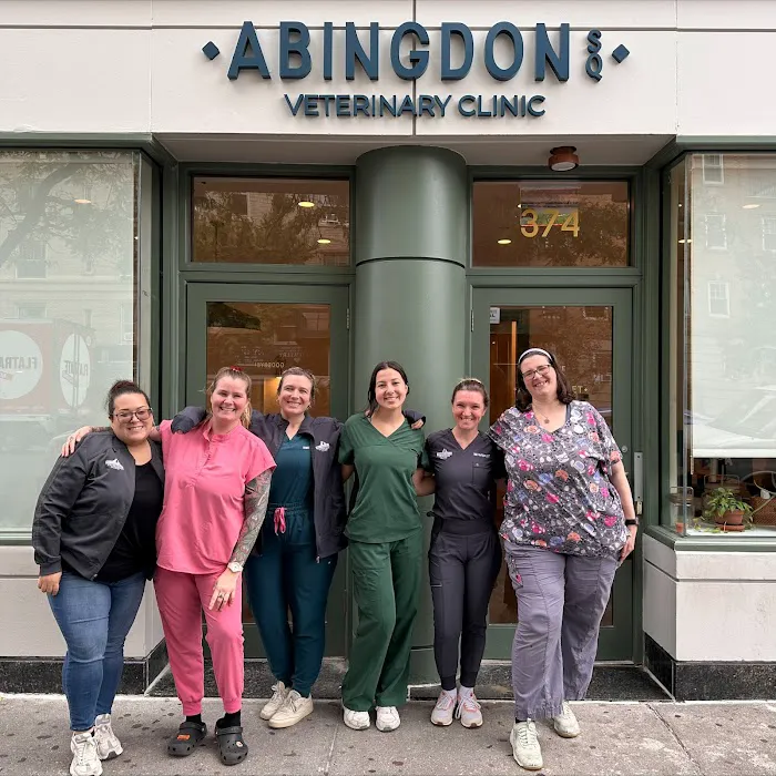 Abingdon Square Veterinary Clinic Picture 10
