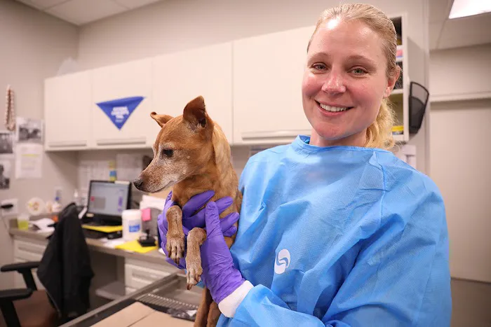 BluePearl Pet Hospital Picture 10
