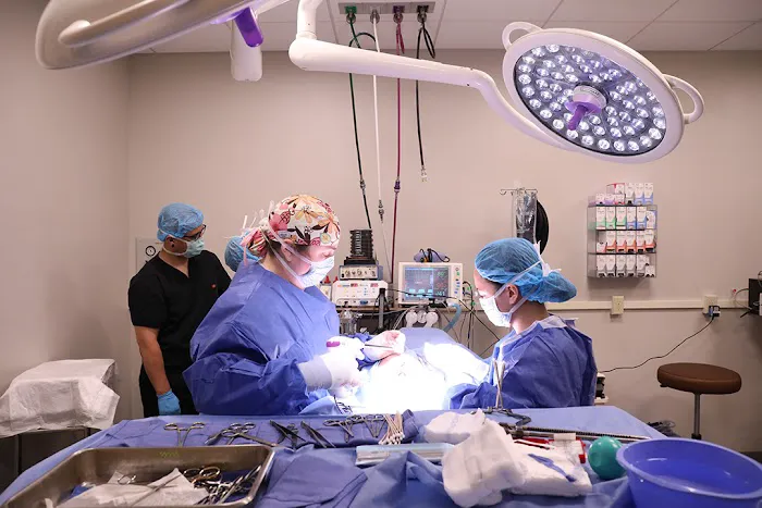 BluePearl Pet Hospital Picture 5