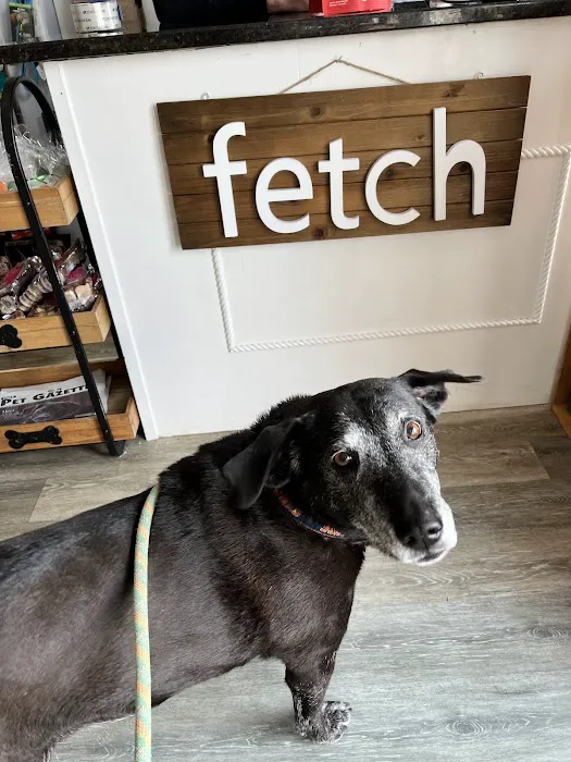 Fetch 02025 Picture 6