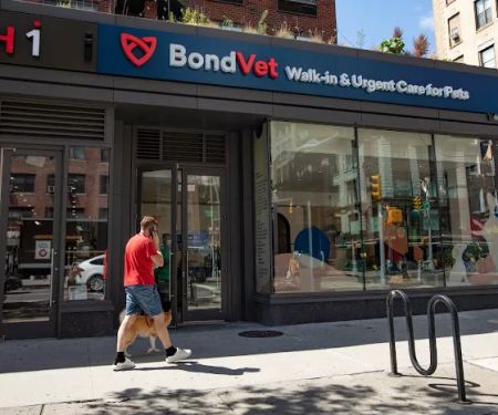 Bond Vet - Chelsea