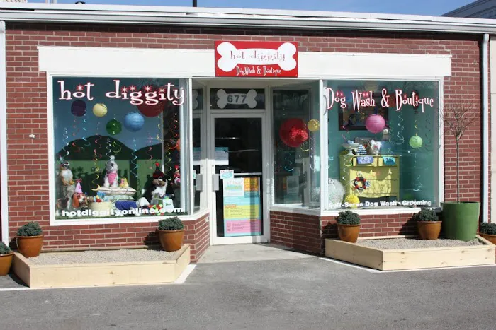 Hot Diggity Dog Wash & Boutique Picture 8
