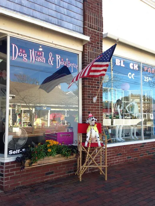 Hot Diggity Dog Wash & Boutique Picture 10