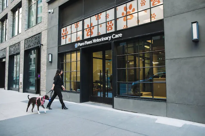 Pure Paws Veterinary Care of Hudson Square Picture 4