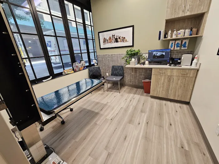 Pure Paws Veterinary Care of Hudson Square Picture 2
