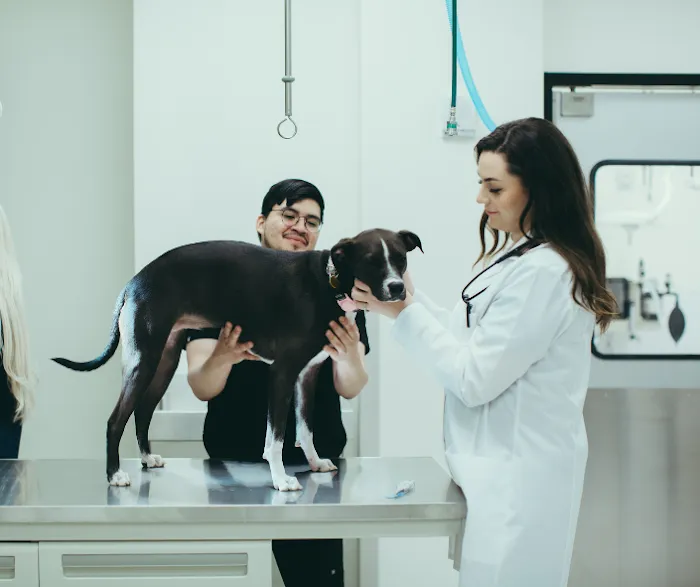 Pure Paws Veterinary Care of Hudson Square Picture 9