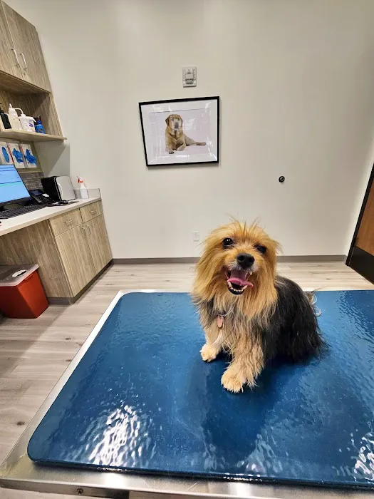 Pure Paws Veterinary Care of Hudson Square Picture 1