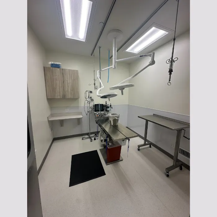 KLC Veterinary Surgical Services Picture 2