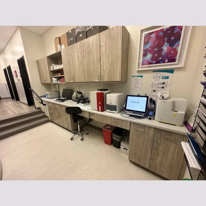 KLC Veterinary Surgical Services Picture 5