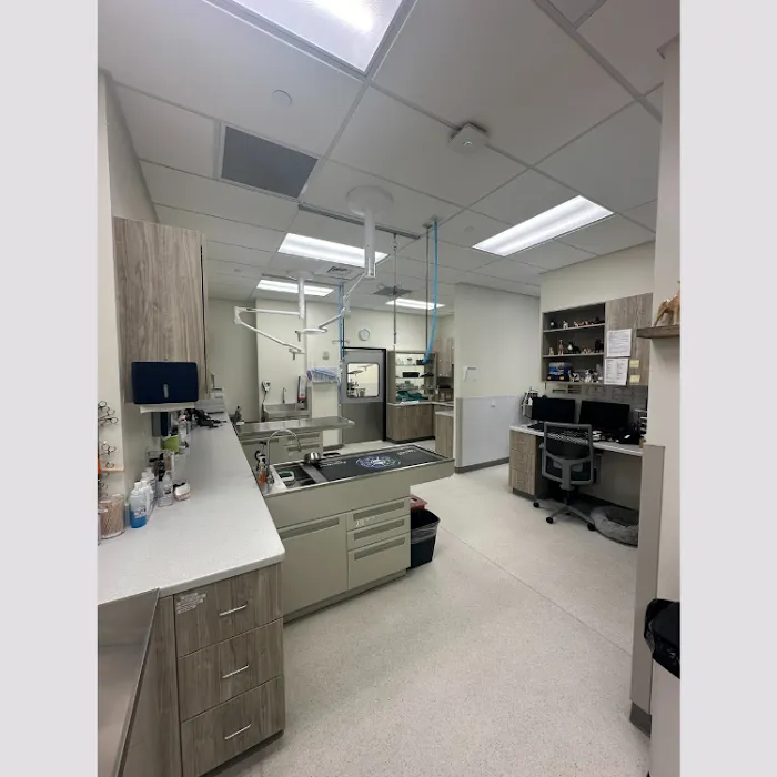 KLC Veterinary Surgical Services Picture 3