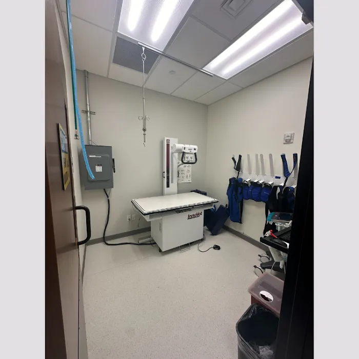 KLC Veterinary Surgical Services Picture 4