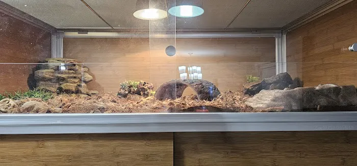 Zen Habitats Picture 2