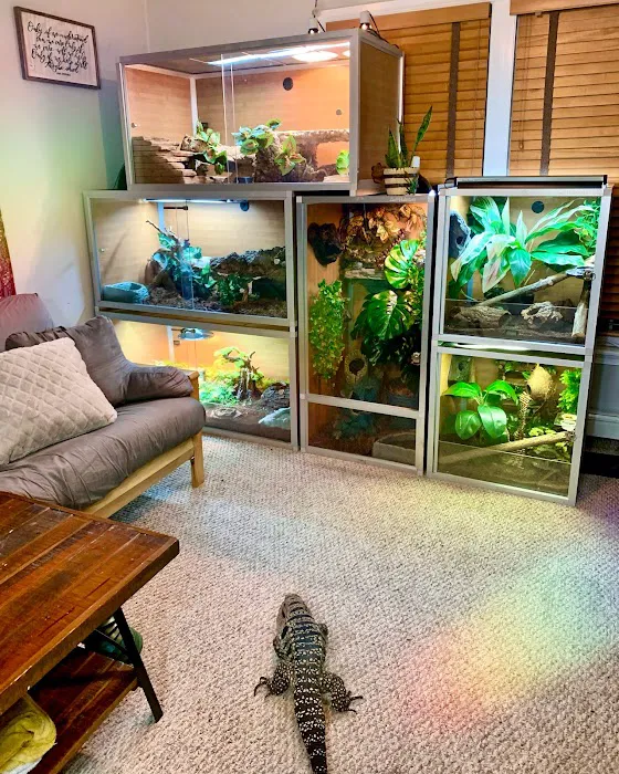 Zen Habitats Picture 6