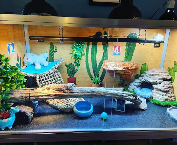 Zen Habitats Picture 7