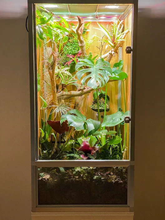 Zen Habitats Picture 8