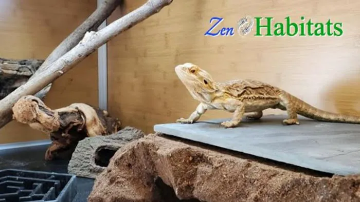 Zen Habitats Picture 5