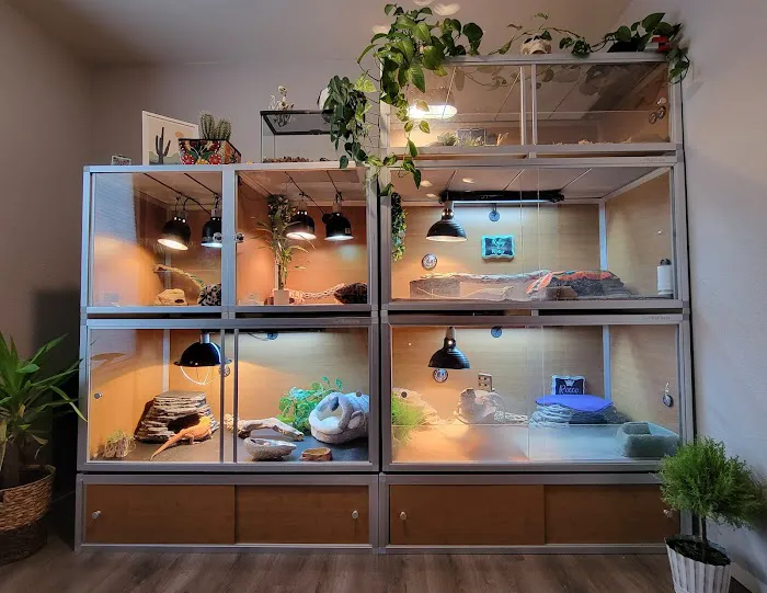 Zen Habitats Picture 9