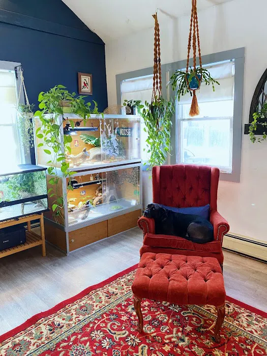 Zen Habitats Picture 10