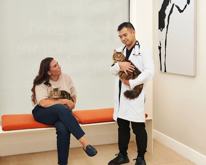 Small Door Veterinary - West Village Picture 4