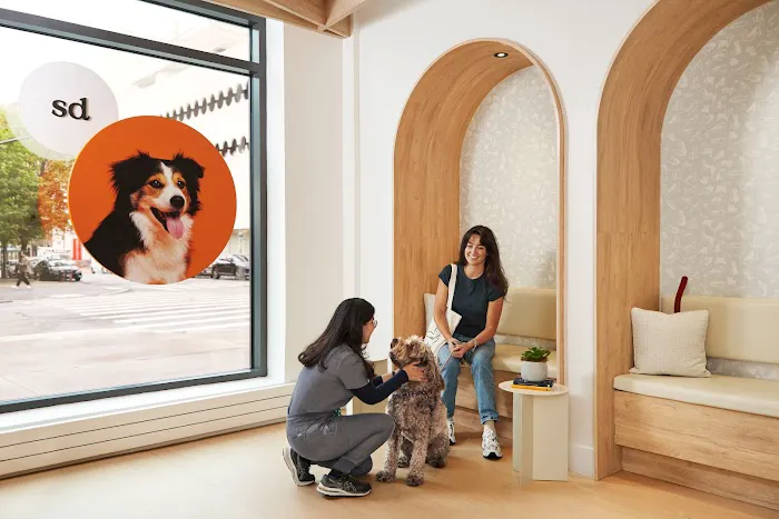 Small Door Veterinary - West Village Picture 5