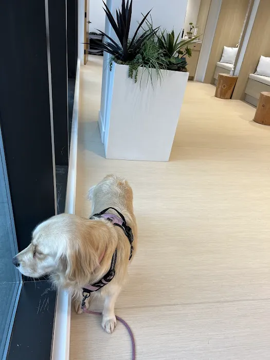 Small Door Veterinary - West Village Picture 2