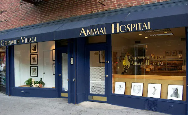 Greenwich Village Animal Hospital Picture 10