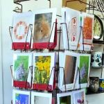 Bird Watcher's Supply & Gift