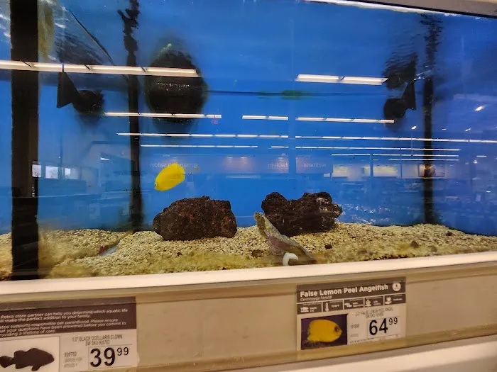 Petco Picture 2