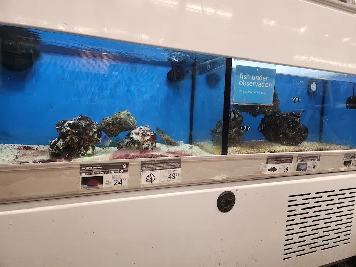 Petco Picture 1