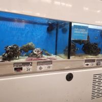 Petco ico